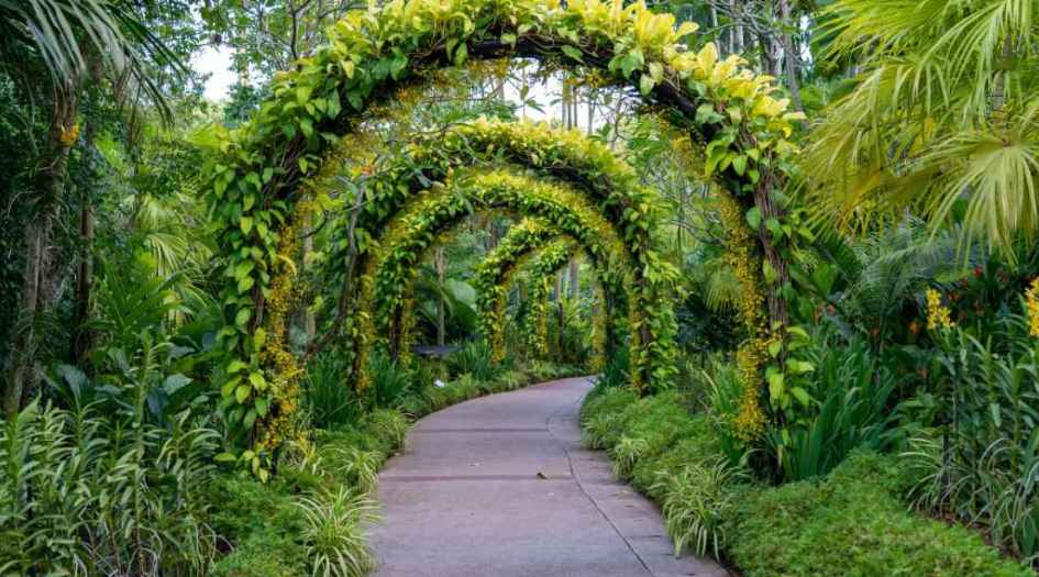 Sai-Proviso-Maple-Woods-garden